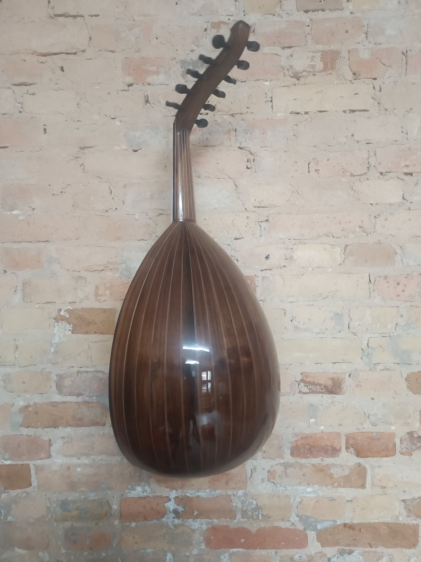 OUD Top nut beauty