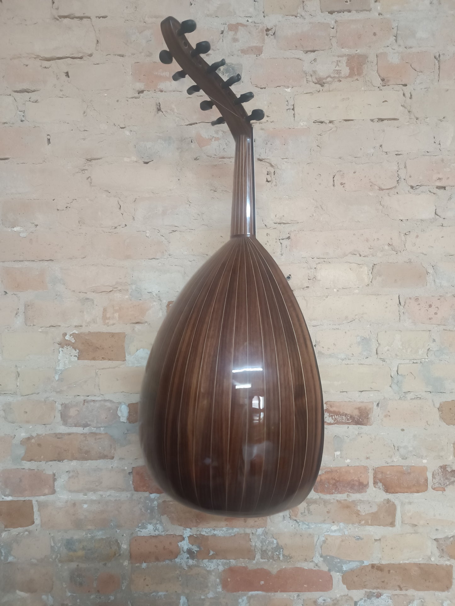 OUD Top nut beauty