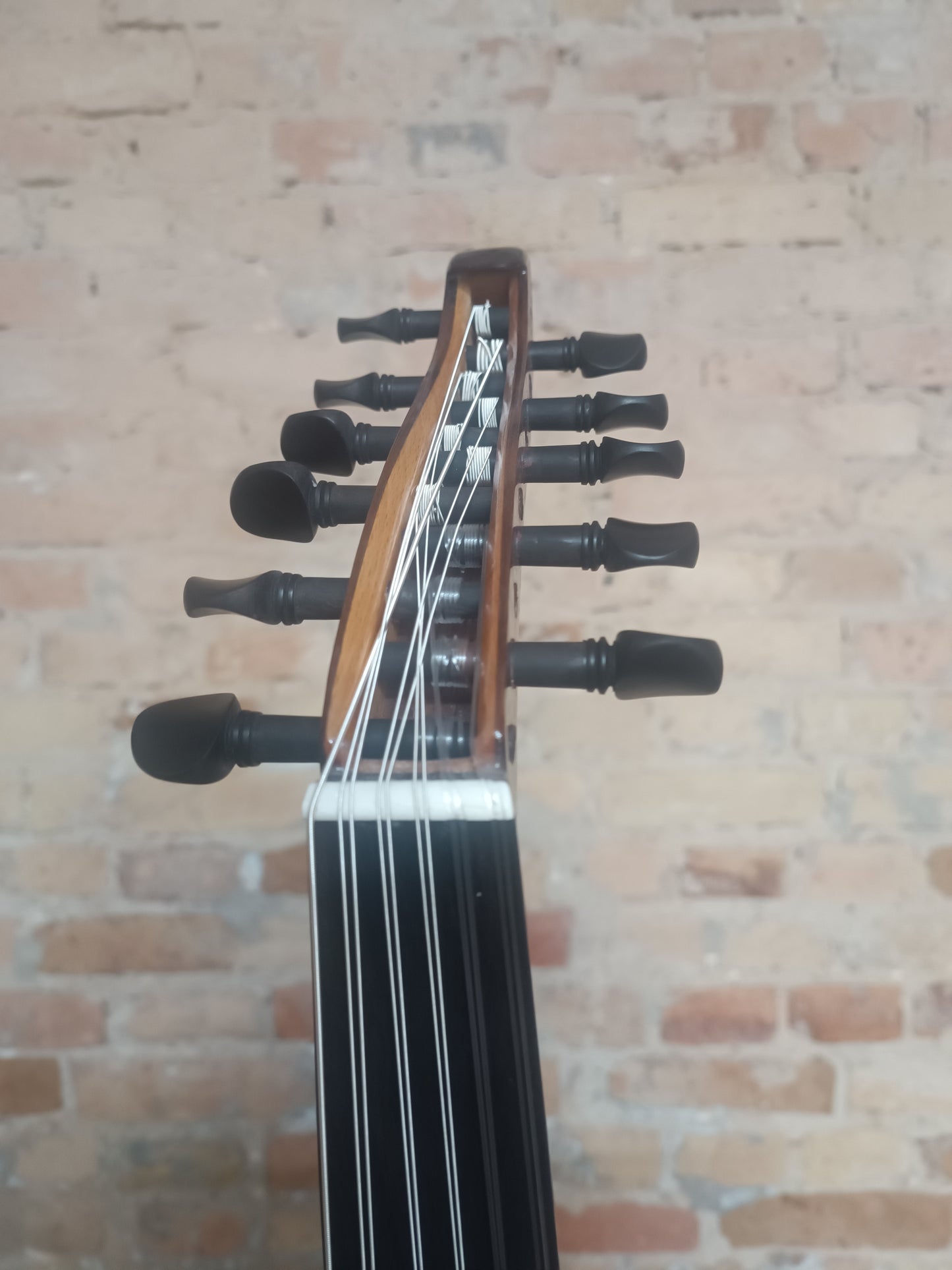 OUD Top nut beauty