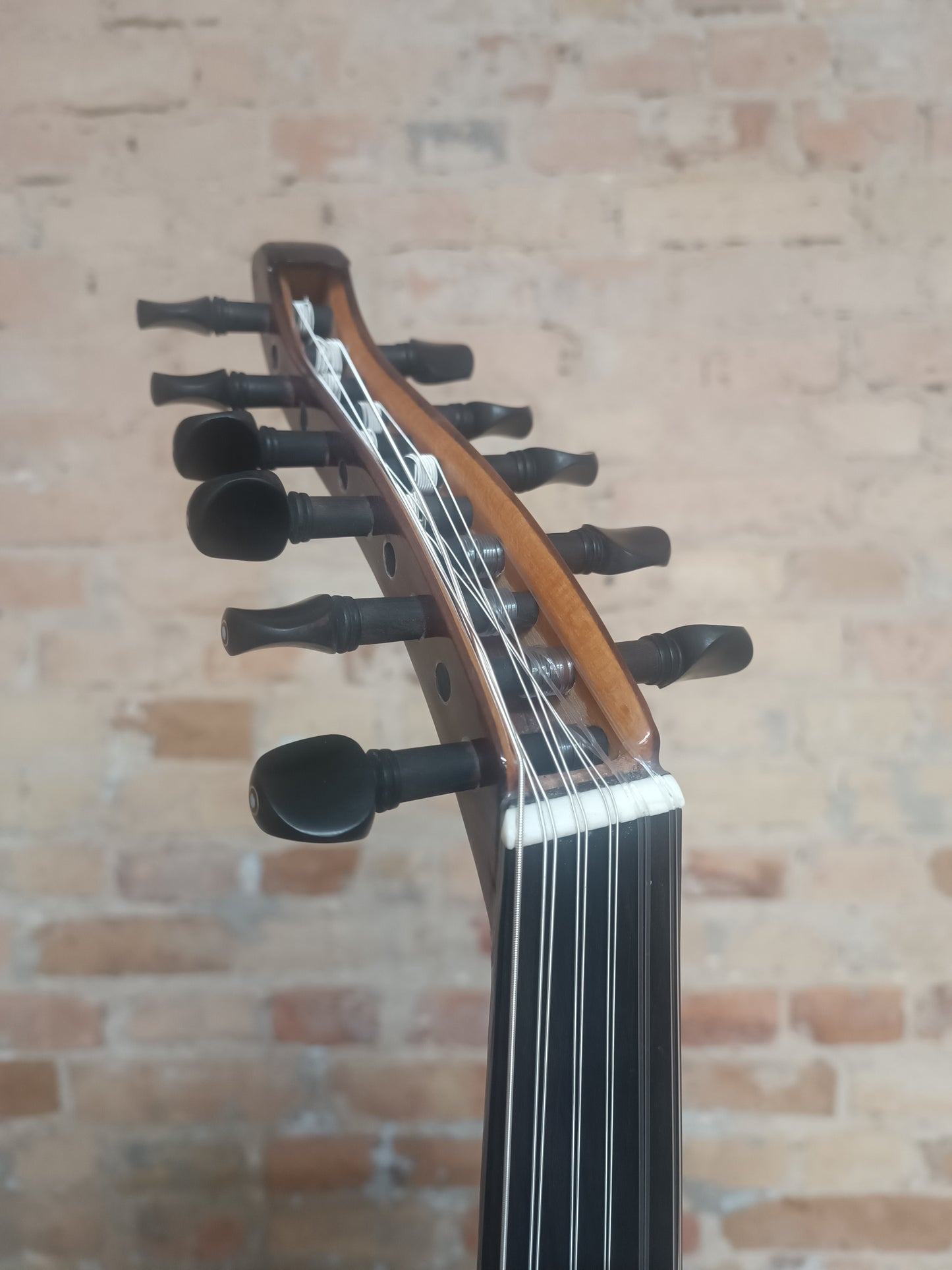 OUD Top nut beauty