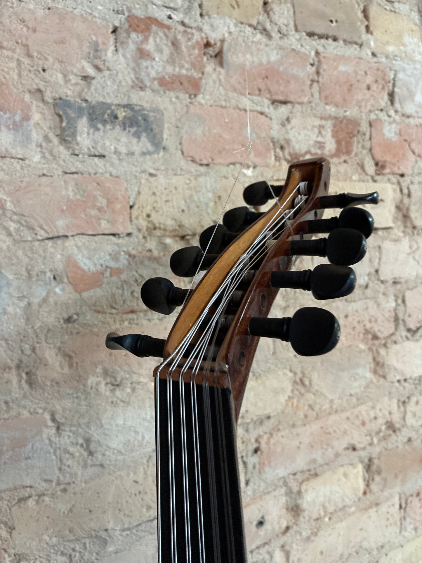 OUD Top mahagonie pure