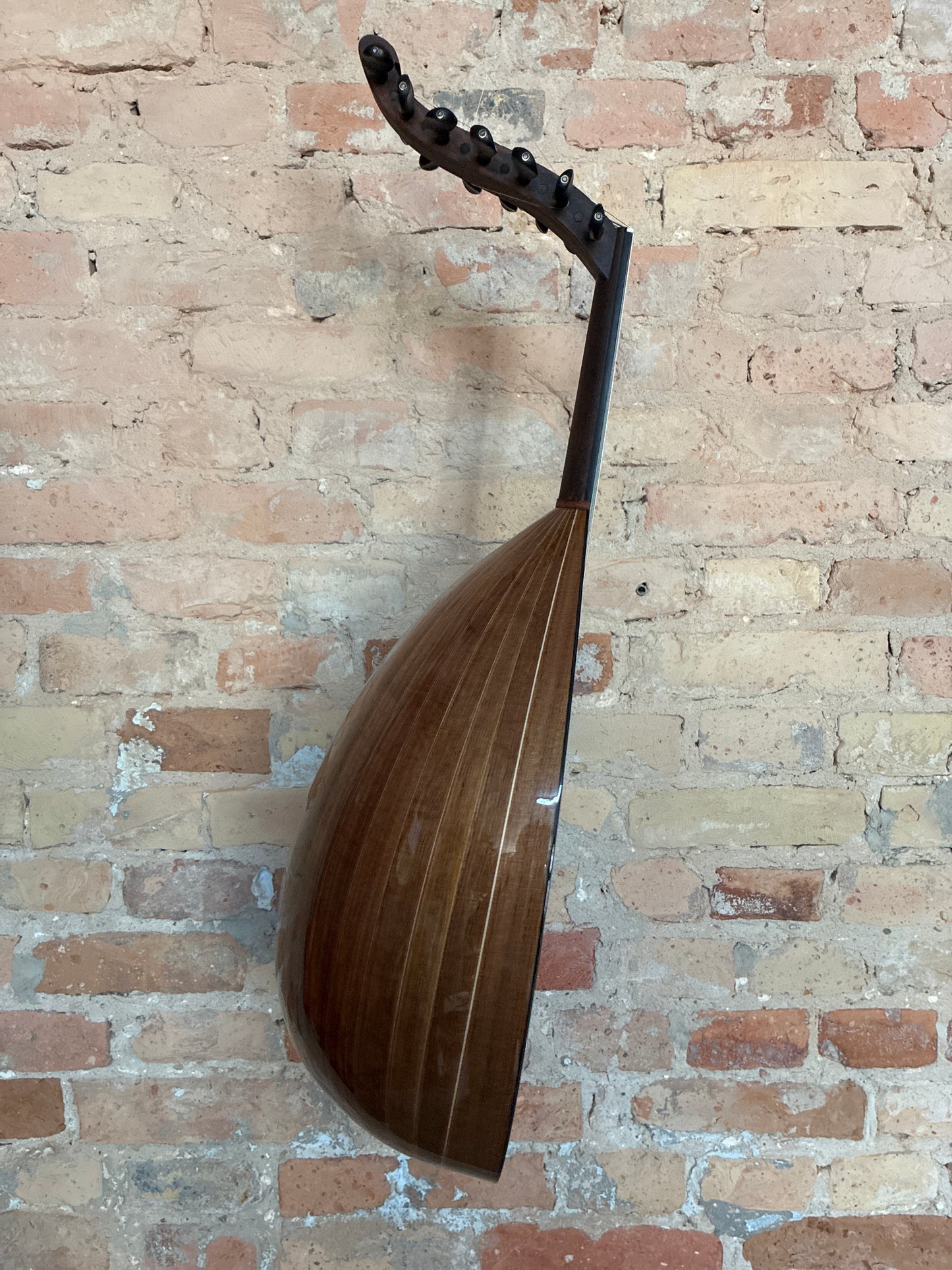 OUD Top Nussbaum 7 er (13 Wirbel)