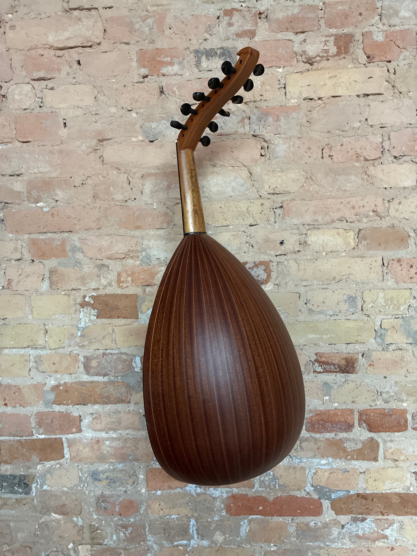 OUD Top mahagonie pure