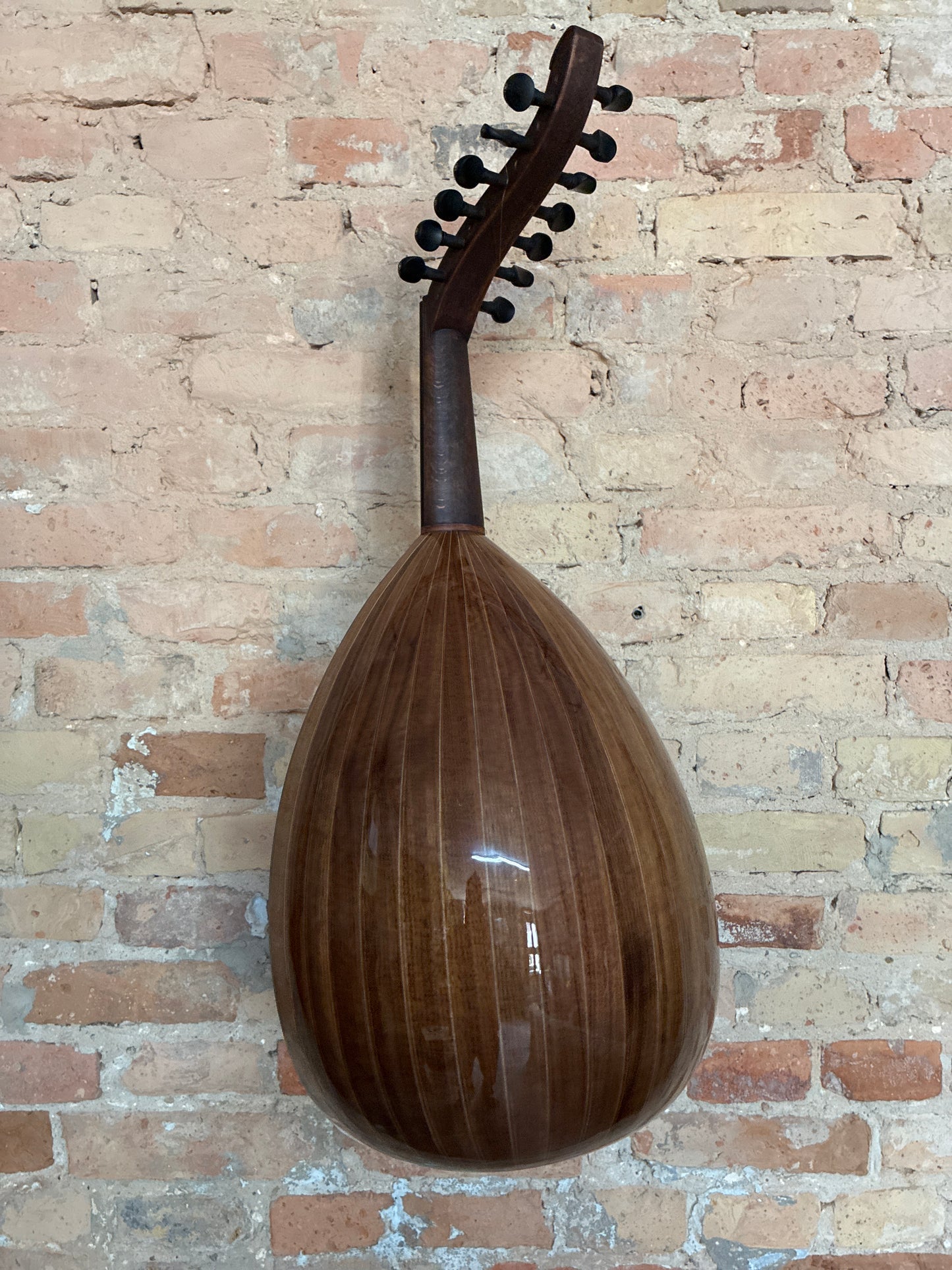 OUD Top Nussbaum 7 er (13 Wirbel)