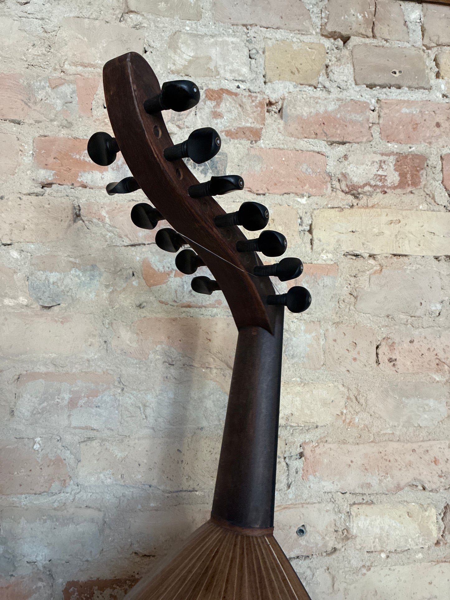 OUD Top Nussbaum 7 er (13 Wirbel)